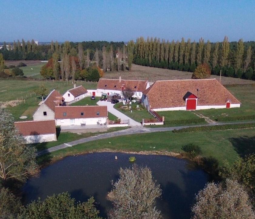 La Maison Des Biquettes Romorantin-Lanthenay Dış mekan fotoğraf